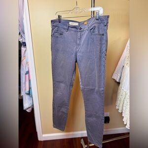 Pilcro & the Letterpress Gray Skinny Jeans Size 32 Ankle Zip Anthropologie
